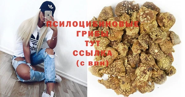 ПСИЛОЦИБИНОВЫЕ ГРИБЫ Алзамай