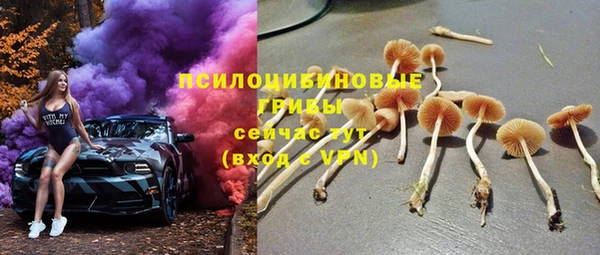 соль ск Алексеевка