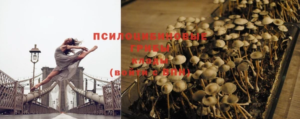 прущие крисы Алексин