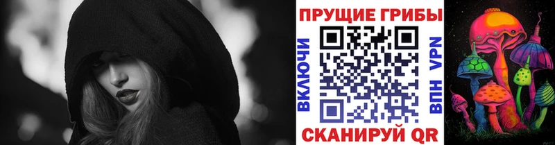 Галлюциногенные грибы Psilocybine cubensis  Урай 